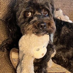 Meet your Posher, Debbie